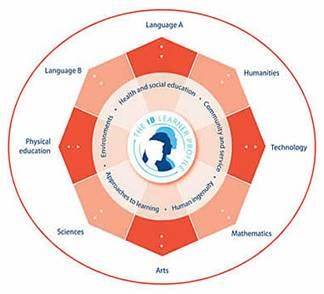 IBMYP課程設(shè)置,IBMYP課程,IBMYP考試輔導(dǎo)