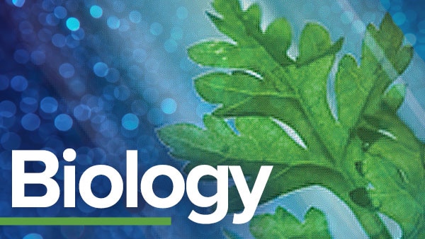 ib生物學(xué)什么，為什么要選IB生物？