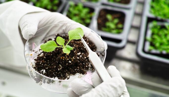 IB生物考試實(shí)驗(yàn)題部分該注意什么？