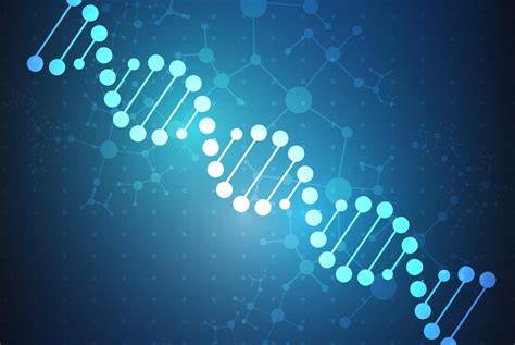 IB生物考點(diǎn)內(nèi)容總結(jié)，如何考核？